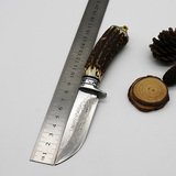 大马士革直刀鹿角白铜进口芬兰刀野外防身手工户外收藏珍藏刀