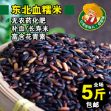 农家自产黑糯米 有机新血糯米 补血明目活血富含锌硒五谷杂粮250g