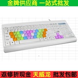 天威龙促销雷迪凯 USB键盘 彩色键帽 台式机 电脑配件批发