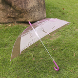 定制logo加粗加厚透明雨伞自动长柄伞纯色创意伞韩国男女广告伞