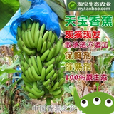 新鲜香蕉 漳州天宝香蕉 农家自种 黄香蕉 有机水果自然熟 5斤包邮