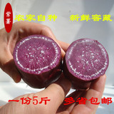 新鲜紫薯生紫心薯番薯山芋红薯地瓜农家有机种植小白薯2500克包邮
