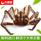 【大渔场】鲜活帝王蟹4 斤左右/只进口帝王蟹  深海蟹 鲜活发货