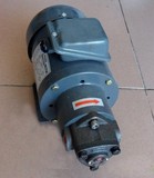 厂家直销机械润滑油泵三相电机驱动摆线泵1/4HP-TOP12A 13A特价