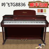 吟飞电钢琴TG-8836 88键 重锤 电子 数码钢琴 钢琴烤漆