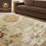 瑞家 进口地毯现代简约 地毯客厅茶几床前地毯卧室家用 美式地毯