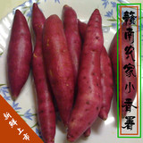 赣南农家特产新鲜甜红薯紫薯地瓜非天目小香薯山芋黄心番薯