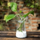 风信子专用花瓶 水仙 绿萝 水培小花瓶 透明玻璃花器