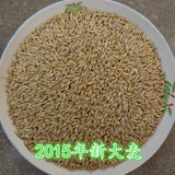自家种宠物禽畜口粮有机大麦若叶种子 可制大麦茶大麦芽 带壳大麦