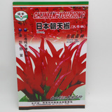 日本朝天椒（天鹰椒）名优品种辣椒种子 辣味强 高产 易种辣椒籽
