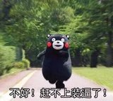日本潮牌KUMAMO熊本熊充电宝卡通毛绒公仔移动电源通用呆萌帝黑熊
