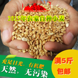 2015年沂蒙农家新小麦粒小麦种子带皮小麦五谷杂粮250克=半斤