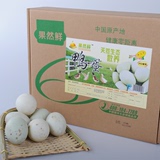 【果然鲜】农家生态散养生鸭蛋纯天然野生青皮土鸭蛋新鲜禽蛋20枚