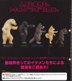 TAKARA TOMY正版扭蛋玩具 动物的壁咚 直立的熊猩猩猫咪狗 现货
