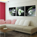 现代客厅装饰画沙发背景墙三联无框挂画卧室壁画餐厅墙画高洁花卉