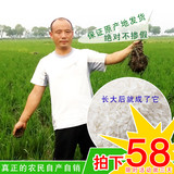 东北农家2015年新米有机粳米黑龙江五常稻花香大米5kg无常 dami