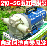 双隔膜直流12V24V48V60V高压打药机农用电动喷雾器5G-210隔膜泵