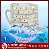 LED灯带5050七彩RGB硅胶灌胶防水单色12V低压深水60珠鱼缸户外