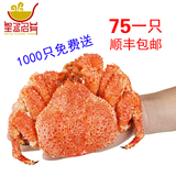 【多买多送】智利进口熟冻帝王蟹300-400克一只 毛蟹肉质饱满包邮