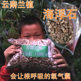 云南兰花配料植料海浮石透气硬颗粒1.5公斤买特惠全国包邮