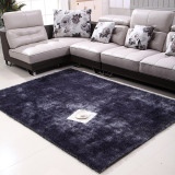 韩国亮丝加密沙发地毯 简约现代客厅茶几卧室床边毯欧式满铺定制