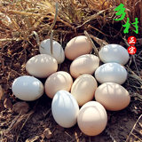 正宗土鸡蛋农村散养土鸡蛋柴鸡蛋笨鸡蛋虫草鸡蛋原生态土鸡蛋30枚