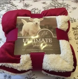 美国原单Ultimate纯色加厚羊羔绒毛毯冬季法兰绒毯子单人双人床单