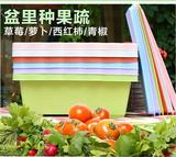阳台花边种菜盆特大长方形加厚家庭院室内水果蔬菜种植花盆批发