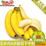 尚购24鲜果—海南香蕉12.5KG 原装箱进口香蕉 新鲜水果新发地配送