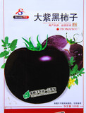 大紫黑柿子番茄蔬菜种子 西红柿籽 庭院阳台种菜家庭盆栽易种水果