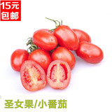 樱桃小番茄种子 圣女果种子番茄种子小西红柿水果有机蔬菜种子