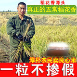 东北黑龙江五常稻花香大米农家自产正宗生态有机2015年新大米包邮