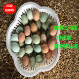 纯天然新鲜农家散养土鸡蛋当天出窝月子补品笨鸡蛋绿壳蛋20枚包邮
