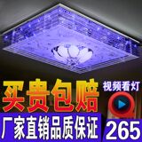 厂家直销爆款长方形LED水晶低压吸顶客厅卧室灯三色可选遥控分段
