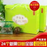 百寿元低温桂林永福罗汉果茶 独立装精选特大果24个全国包邮