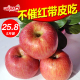 【山果演义】高山原生态野生红富士苹果5斤 新鲜水果苹果