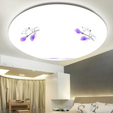 百合LED吸顶灯现代简约客厅灯温馨创意卧室阳台厨卫灯圆形过道灯