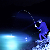 钓鱼灯夜钓紫光渔具夜光30W充电蓝光手电超亮筒强光100夜光灯