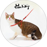 日本Petio派地奥猫咪专用牵引绳溜猫绳遛猫绳带铃铛猫链子猫项圈