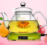耐热玻璃茶具花茶壶透明过滤花果茶具果茶具玻璃整套花草茶具套装
