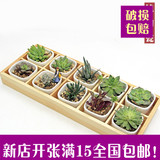 多肉植物木盒花盆花器托盘/木盒/实木组合/白瓷日式/收纳盒10格子