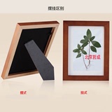 植物标本框、标本展示框、挂墙式腊叶标本框、植物标本框架