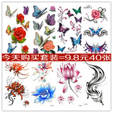 一套40张 纹身贴防水男女韩国英文3D彩色蝴蝶玫瑰花羽毛刺青套装