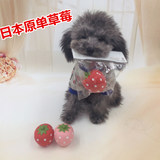日本原单草莓狗狗玩具茶杯泰迪比熊幼犬发声玩具宠物玩具互动益智