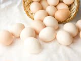 土鸡蛋新鲜纯天然无公害自养原生态农家初生月子皮皮生态蛋礼盒装