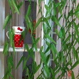 仿真塑料假柳叶竹叶树叶藤条幼儿园管道装饰客厅室内柳条吊顶壁挂