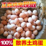 正宗苏北农家散养土鸡蛋确保3天内新鲜土鸡蛋有机柴鸡笨鸡草鸡蛋