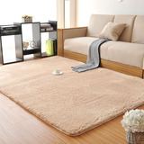 欧式柔软加厚北极绒地毯卧室床边客厅茶几飘窗可定做满铺地毯地垫