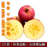 新鲜水果 平安果 新疆特产 阿克苏冰糖心苹果（5斤）北京包邮