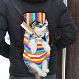 一家胖子宠物包双肩外出背带狗狗便携包背包透气彩虹条纹箱包包邮
